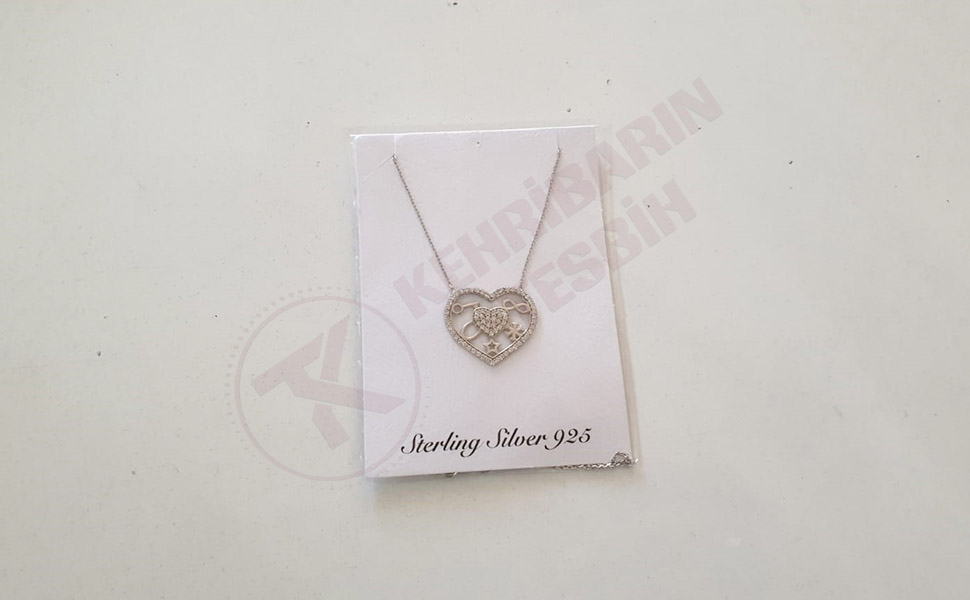 925 Ayar Kalpli Bayan Gümüş Kolye